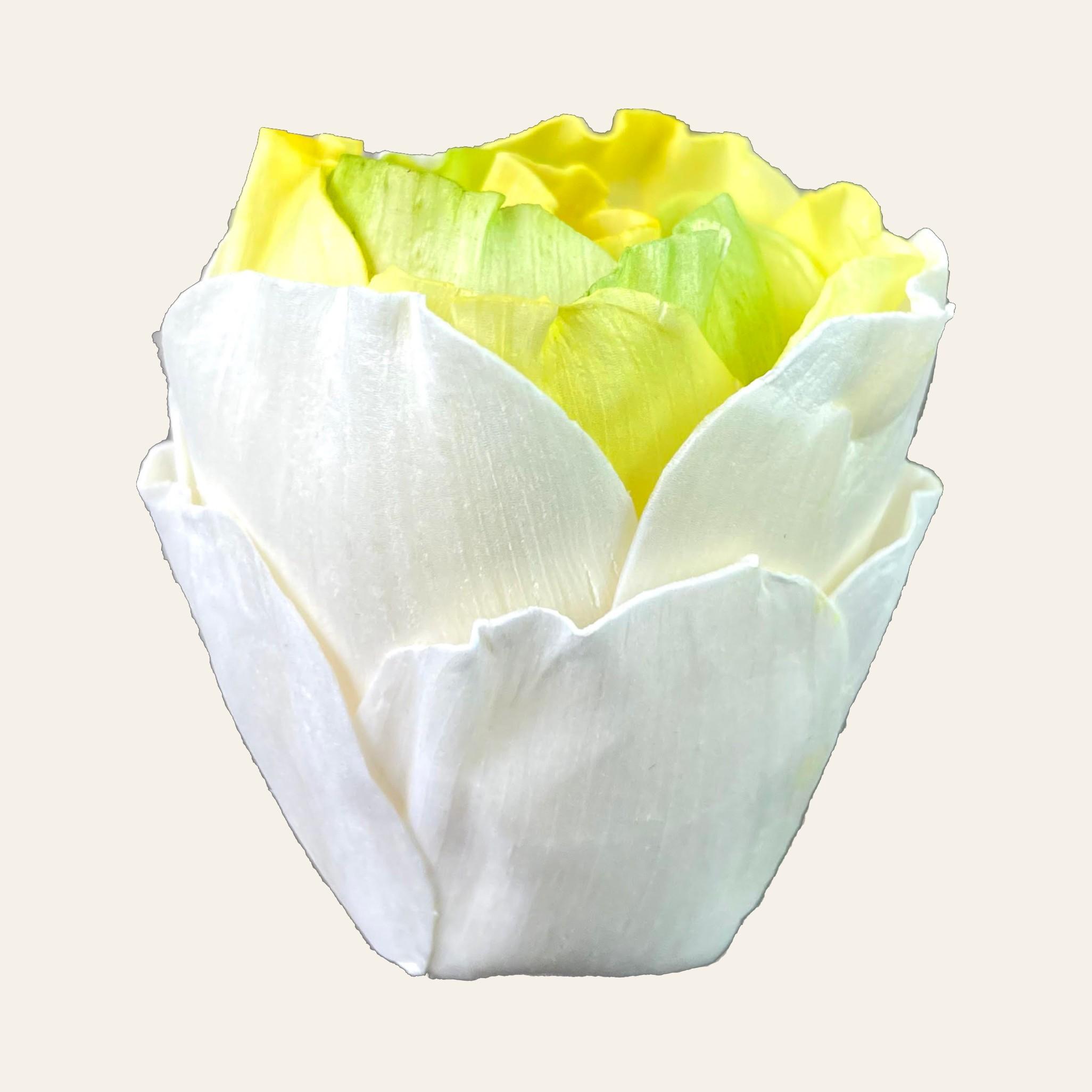 通草·白菜花 · 招财香氛摆件