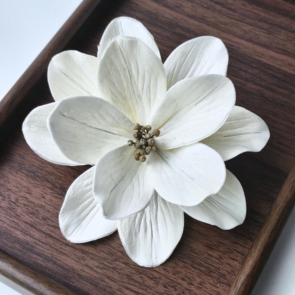 通草·玉兰手作