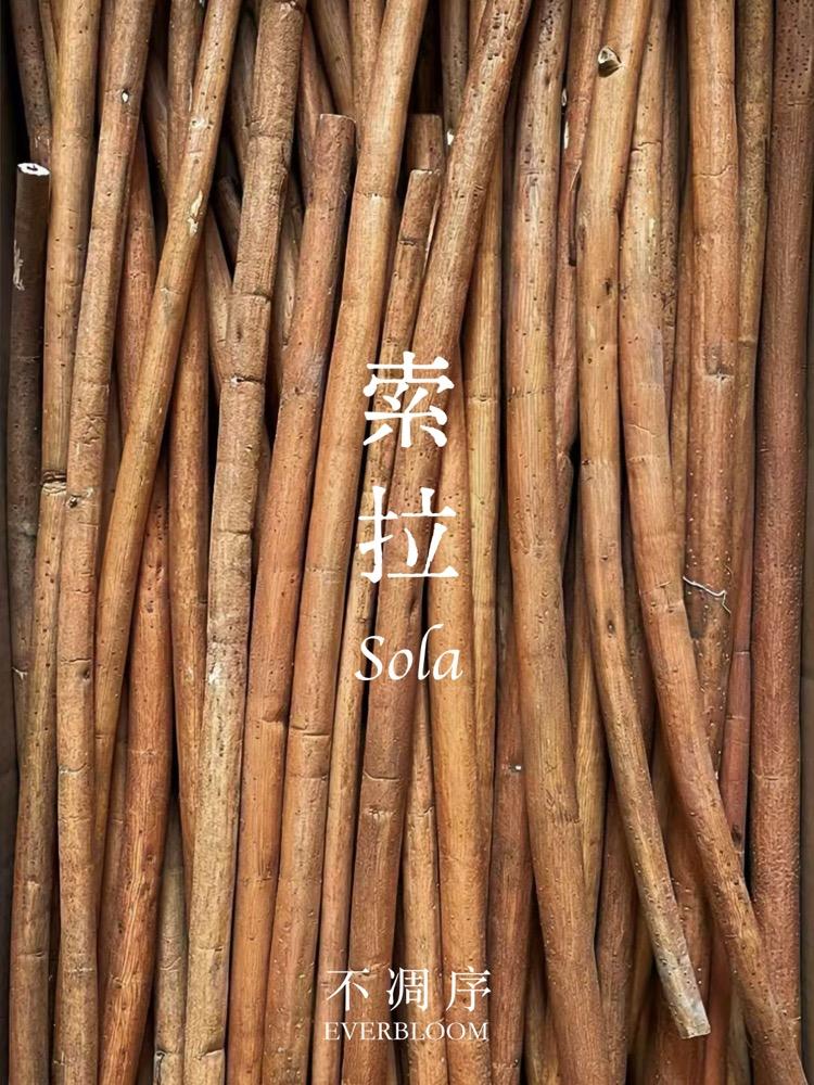 通草原料形态
